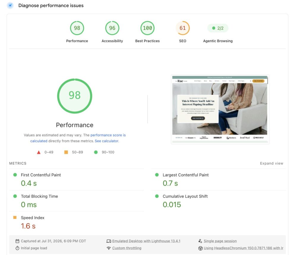 screenshot of the audit results